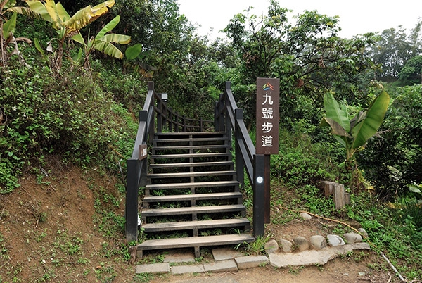 台中包車旅遊大坑9號