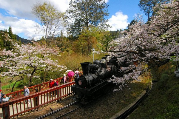 阿里山包車旅遊,奮起湖包車旅遊,阿里山包車,奮起湖包車,阿里山包車一日遊,奮起湖包車一日遊,嘉義包車旅遊