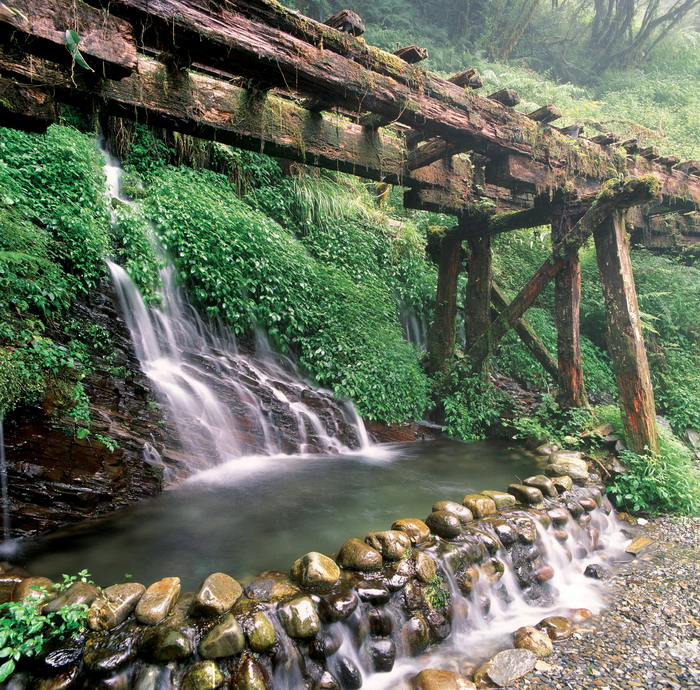 宜蘭包車旅遊景點,太平山森林遊樂區包車,太平山包車,宜蘭太平山包車旅遊,太平山包車旅遊,宜蘭太平山包車推薦,太平山旅遊包車,太平山包車一日遊