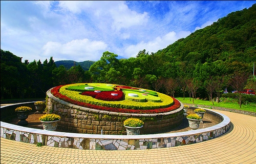 陽明山公園花鐘包車旅遊