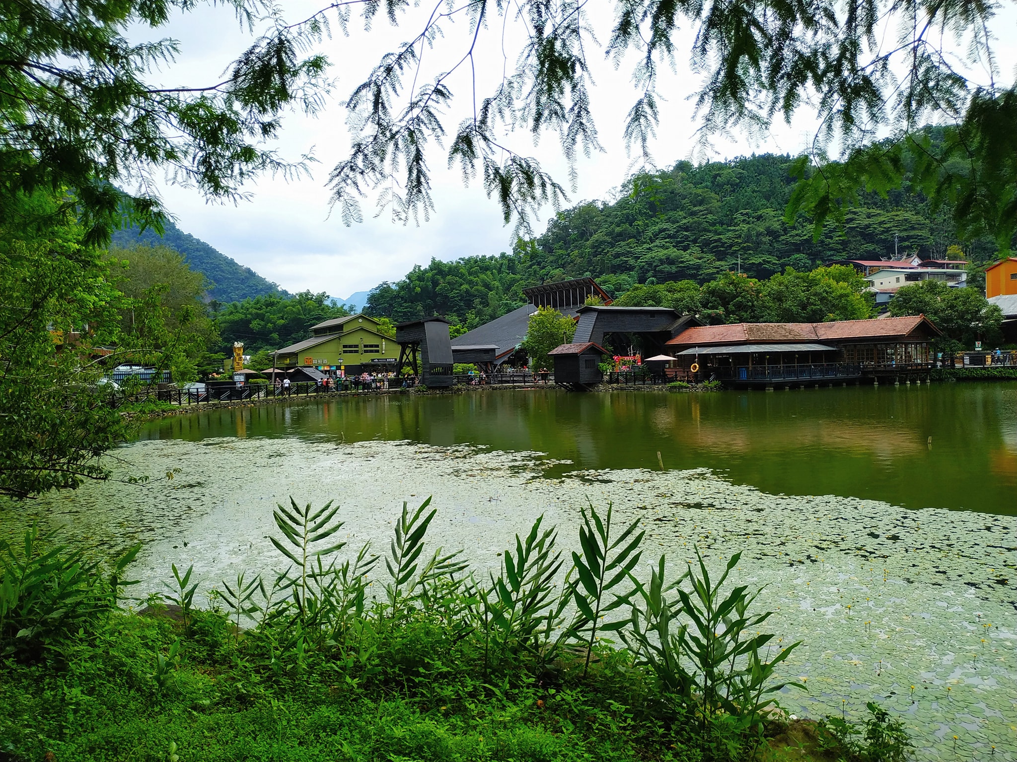 南投集集水里車埕,集集水里車埕包,集集水里車埕包車旅遊,南投集集水里車埕包車,南投包車,水里車城包車旅遊