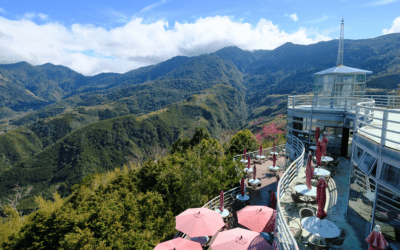 新竹包車熱門景點-冬天暖洋洋的隱藏秘境