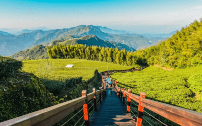 嘉義包車旅遊景點-過年全家出遊好去處