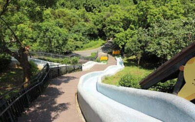 台北包車旅遊七人座新竹輕鬆遊玩