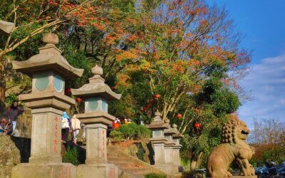 台北包車旅遊秋季賞楓景點