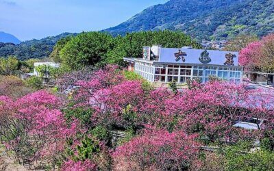 台北冬天溫泉包車之旅
